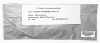 Image Associated With the Occurence